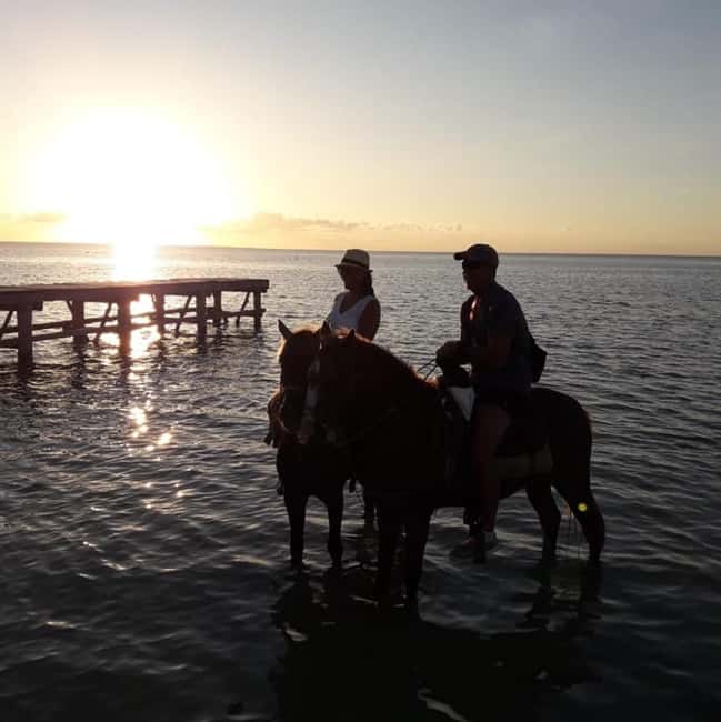 Horseback Adventure in Holbox - Key points at a glance