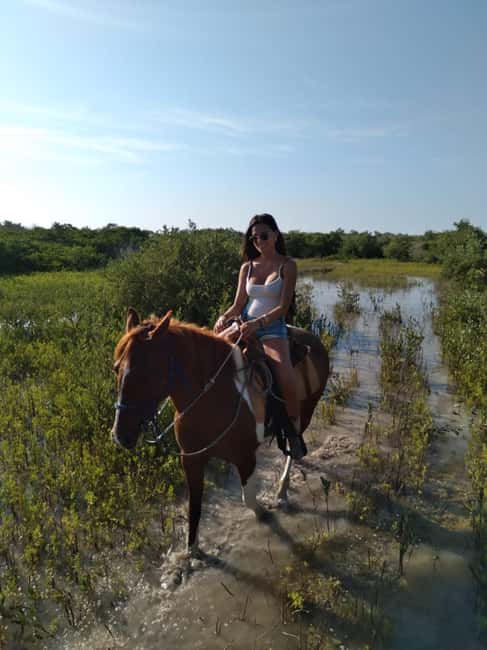 Horseback Adventure in Holbox - What the Punta Siricote route is really like