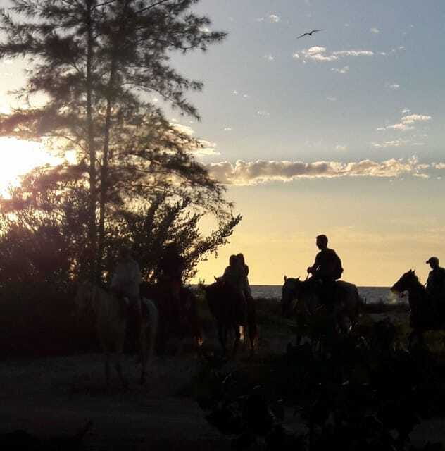 Horseback Adventure in Holbox - Timing: 70 minutes or 1 hour 20 minutes?