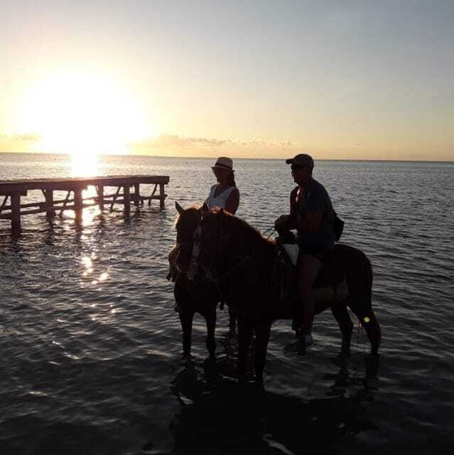 Horseback Adventure in Holbox - My practical verdict