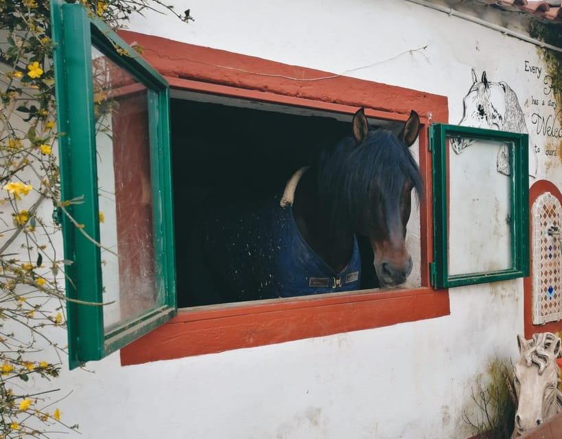 Horseback excursion in the Maddalena woods - A good first ride, with sensible clothing rules