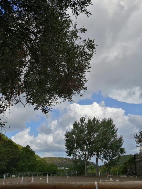 Horseback excursion in the Maddalena woods - What to bring and what to leave behind