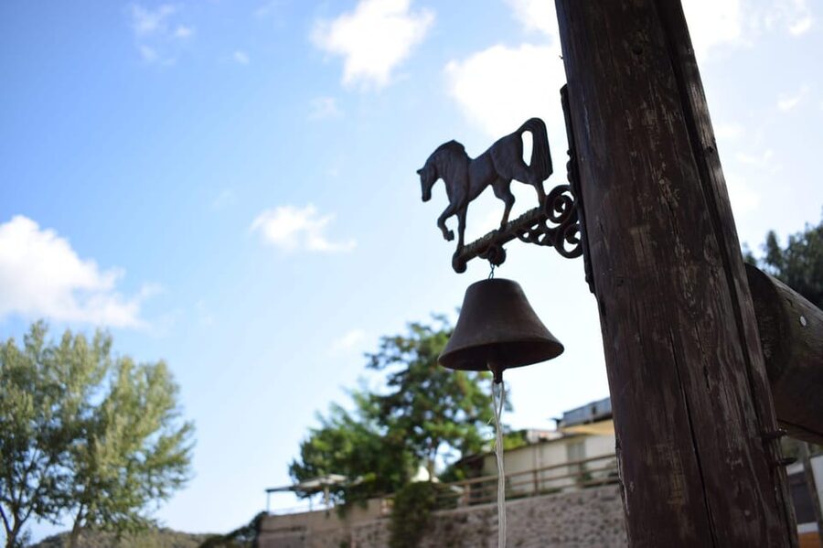 Horseback excursion in the Maddalena woods - What the one-hour itinerary feels like