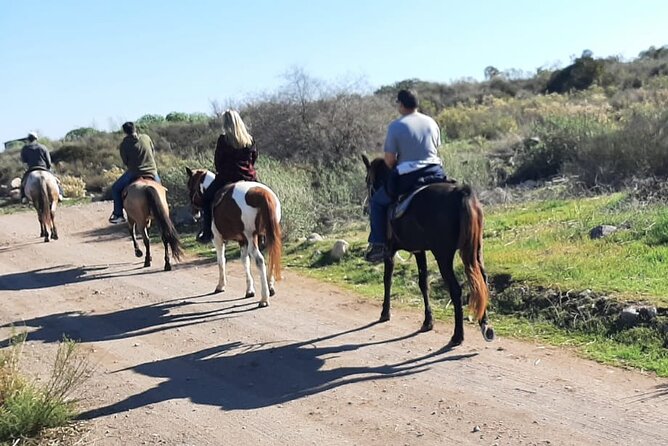 Horseback Mountain Trail Ride - A practical choice for cruise passengers