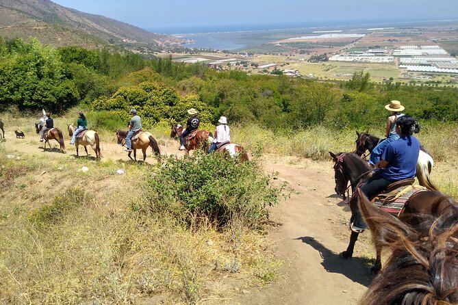Horseback Mountain Trail Ride - Meeting horses, goats, peacocks, and ranch animals