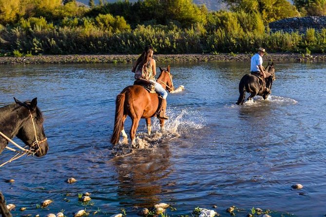 Horseback Private Wine Tour and Country Grill from Santiago - Breakfast with a local family and artist