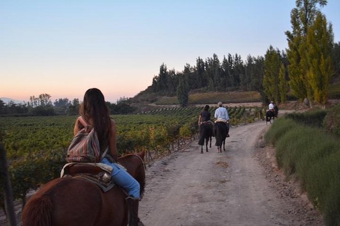 Horseback Private Wine Tour and Country Grill from Santiago - Meeting the horses at the ranch