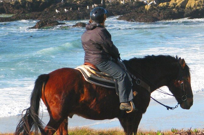 Horseback Ride & Alcatraz Prison Tickets - A rare San Francisco pairing