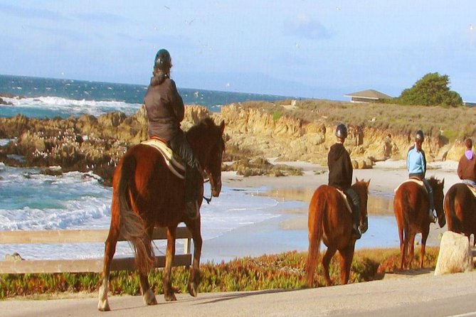 Horseback Ride & Alcatraz Prison Tickets - Riding near Half Moon Bay