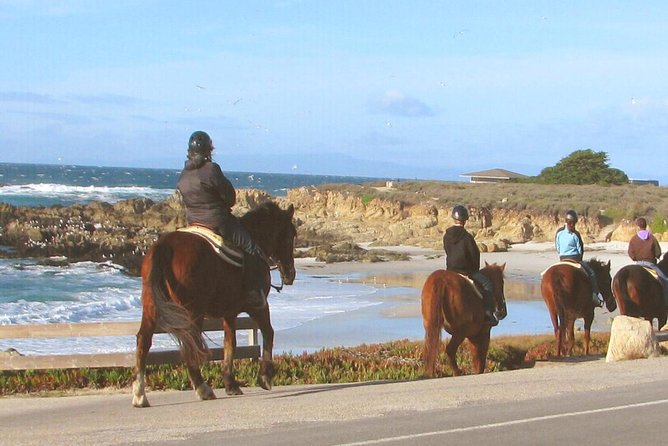 Horseback Ride & Alcatraz Prison Tickets - Returning to the city and catching the Alcatraz ferry