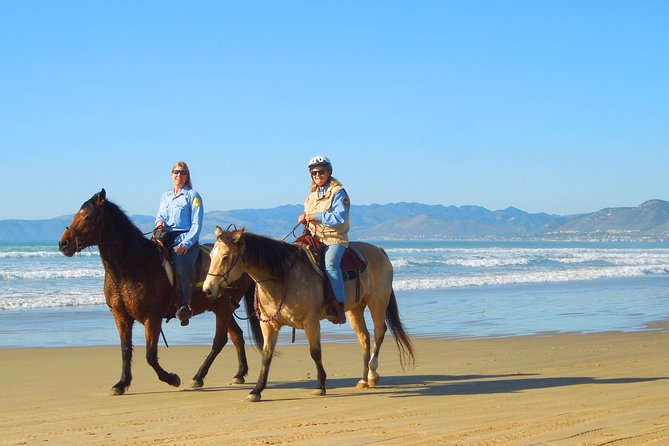Horseback Ride & Alcatraz Prison Tickets - Starting at 8:30 am with hotel pickup