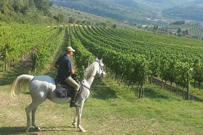 Horseback ride and gourmet cuisine in a historic food shop - Key details to know before booking