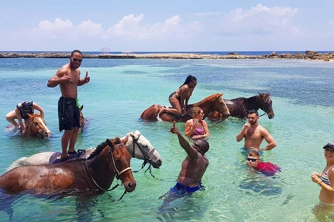 Horseback Ride and Swim From Ocho Rios - Private Group Benefits and Limits
