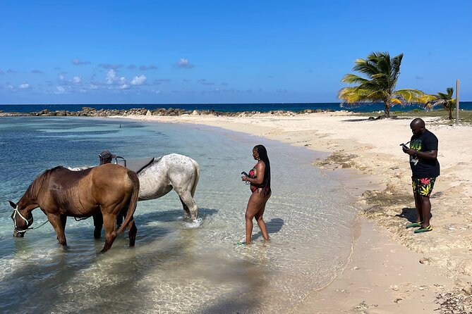 Horseback Ride and Swim Guided Tour from Montego Bay - What the $160 price really covers