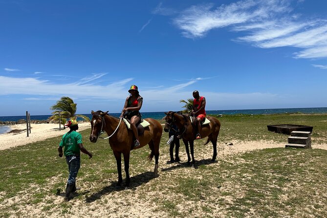 Horseback Ride and Swim Guided Tour from Montego Bay - Timing, comfort, and practical limits