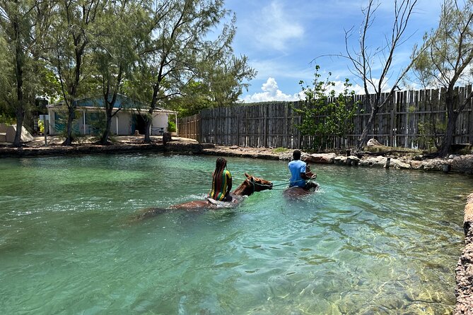 Horseback Ride and Swim Guided Tour from Montego Bay - Safety, horse welfare, and the mixed feedback