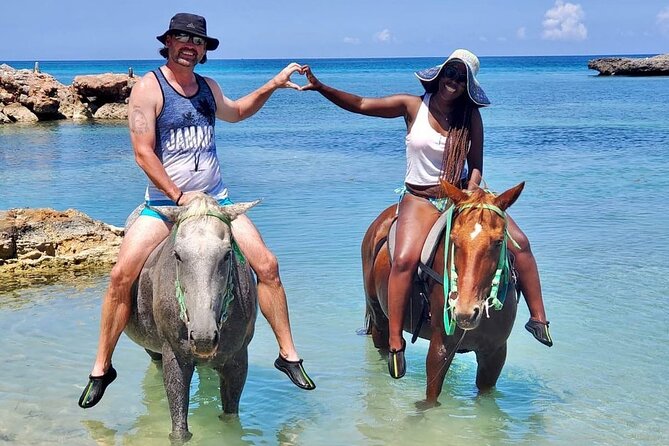 Horseback Ride and Swim Jamaica - Well-trained horses and careful handling