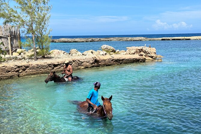 Horseback Ride and Swim Tour In Montego Bay - Safety, comfort, and the beginner experience