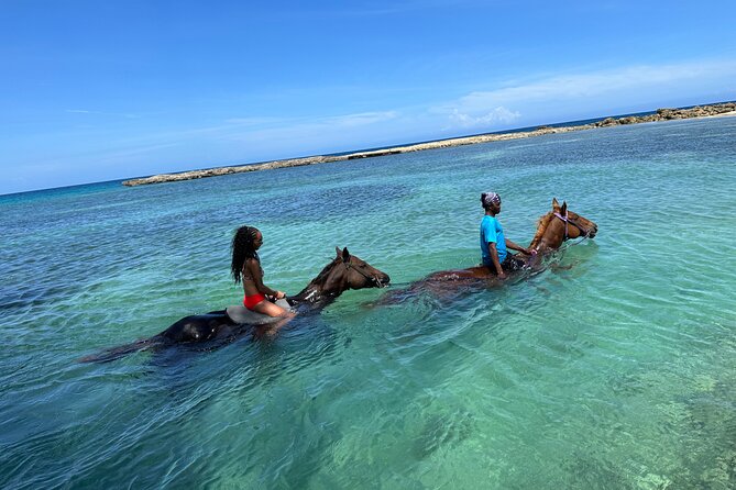 Horseback Ride and Swim Tour In Montego Bay - Entering the Caribbean with your horse