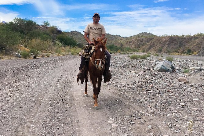 Horseback ride and witness magical sunset of Loreto, BCS - Key points to know before you saddle up