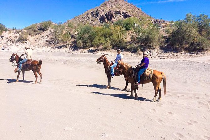 Horseback ride and witness magical sunset of Loreto, BCS - What the 90-minute ride feels like
