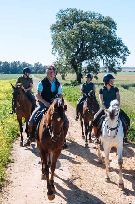 Horseback ride around Doñana National Park - Key details before you book