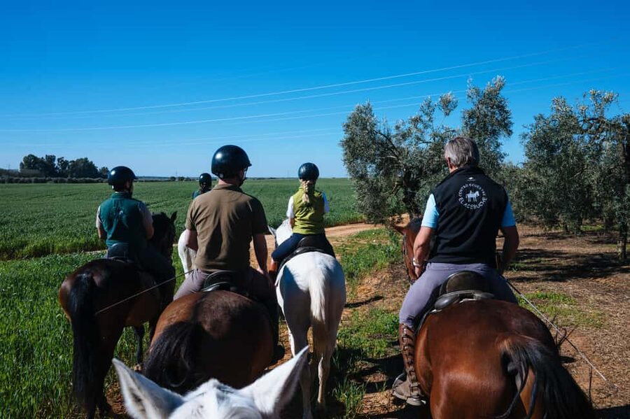 Horseback ride around Doñana National Park - The final drink at the stables