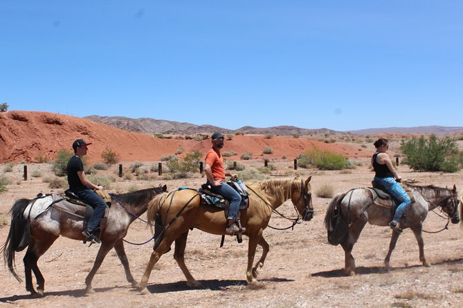 Horseback Ride in Las Vegas - The real price of the ride