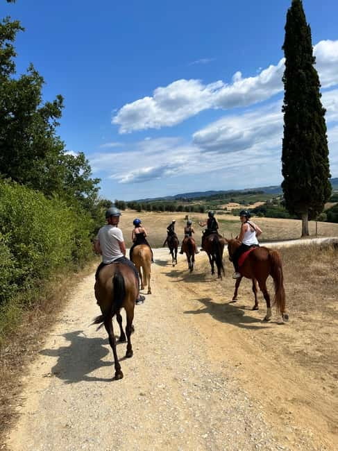 Horseback Ride in Tuscany with Lunch in da Vinci’s Land - A calm introduction before the 1.5-hour ride