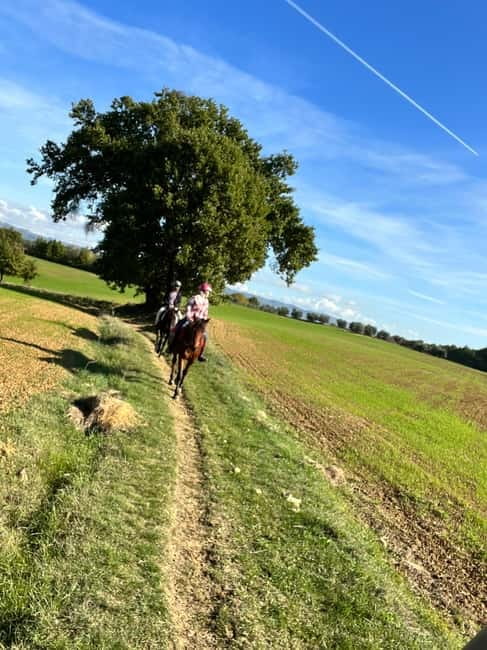 Horseback Ride in Tuscany with Lunch in da Vinci’s Land - Meeting in San Frediano and heading into the hills