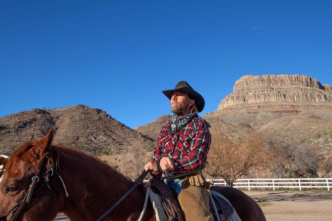 Horseback Ride Joshua Tree Forest Buffalo Lunch Singing Cowboy - Meadview ranch, buffalo, and Buffalo Point