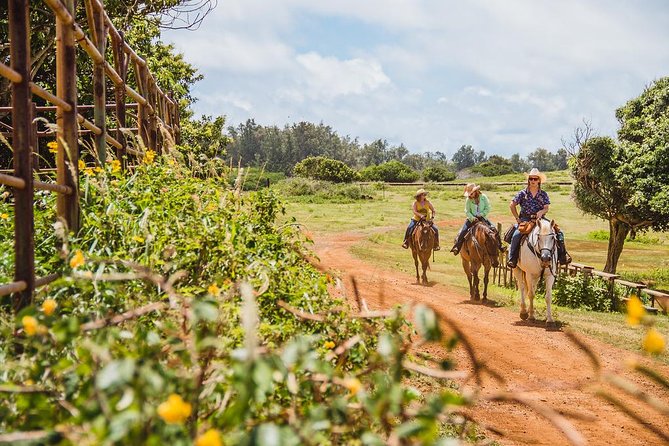 Horseback Ride Like an Authentic Paniolo in Kahuku - A Gentle Paniolo Ride at Gunstock Ranch