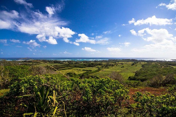Horseback Ride Like an Authentic Paniolo in Kahuku - Check-In, Safety, and Getting Ready