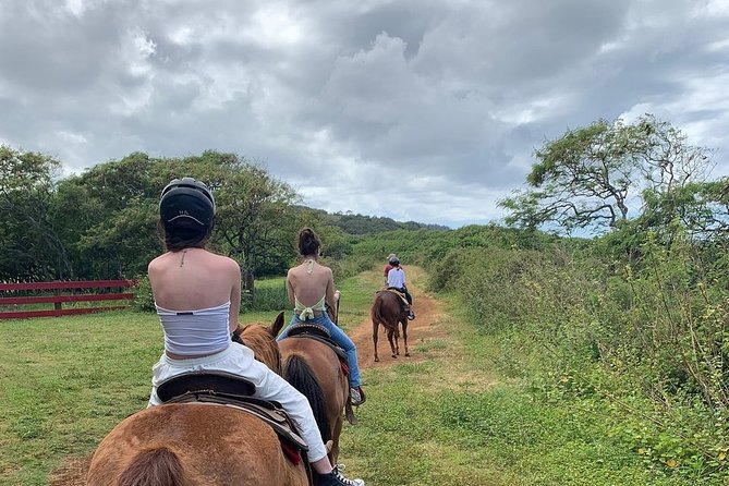 Horseback Ride Like an Authentic Paniolo in Kahuku - How This Works for Beginners and Children