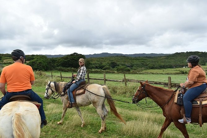 Horseback Ride Like an Authentic Paniolo in Kahuku - Meeting the Horses Before the Trail