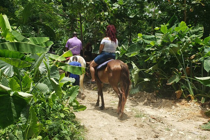 Horseback 'Ride N Swim' & Dunns River Falls from Montego Bay - Key points at a glance