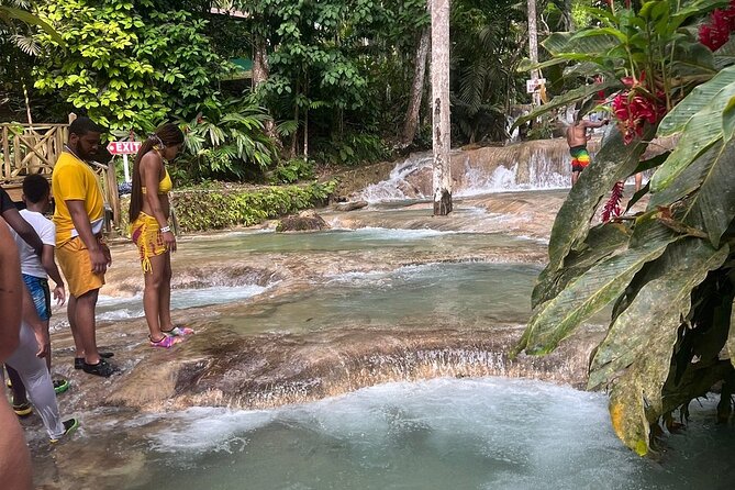 Horseback 'Ride N Swim' & Dunns River Falls from Montego Bay - Dunn’s River Falls in about one hour