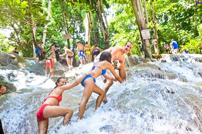 Horseback 'Ride N Swim' & Dunns River Falls from Montego Bay - Why the private vehicle matters