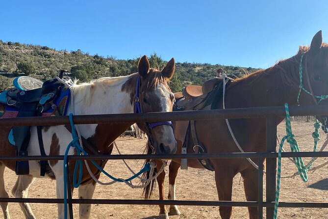 Horseback Ride near the Grand Canyon's West Rim - Key points to know before you book