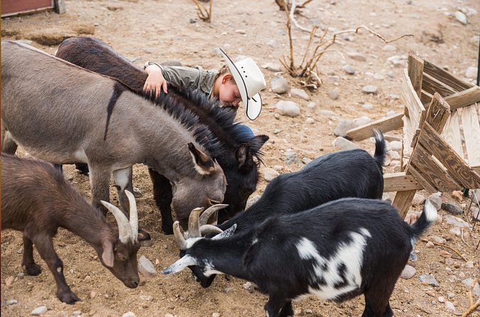 Horseback Ride near the Grand Canyon's West Rim - Lunch at the Last Chance Restaurant and Saloon