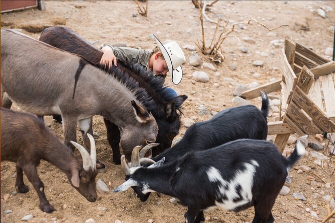 Horseback Ride near the Grand Canyon's West Rim - Helmets, hair, and the rules that matter