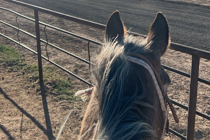 Horseback Ride near the Grand Canyon's West Rim - Who will enjoy this ride most