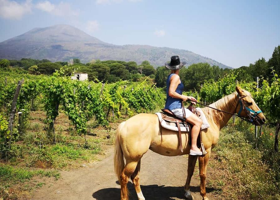 Horseback Ride on Mt. Vesuvius - The crater question, clearly answered