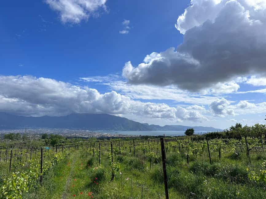 Horseback Ride on Mt. Vesuvius - From Caffetteria Magma to the stables