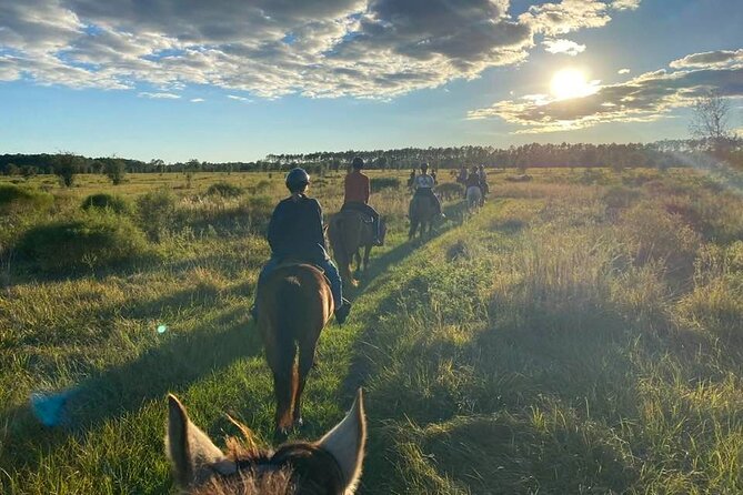 Horseback Ride on Scenic Lake Louisa Trails - Key points before you book