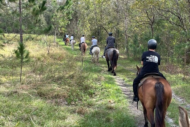 Horseback Ride on Scenic Lake Louisa Trails - A slow ride through central Florida scenery