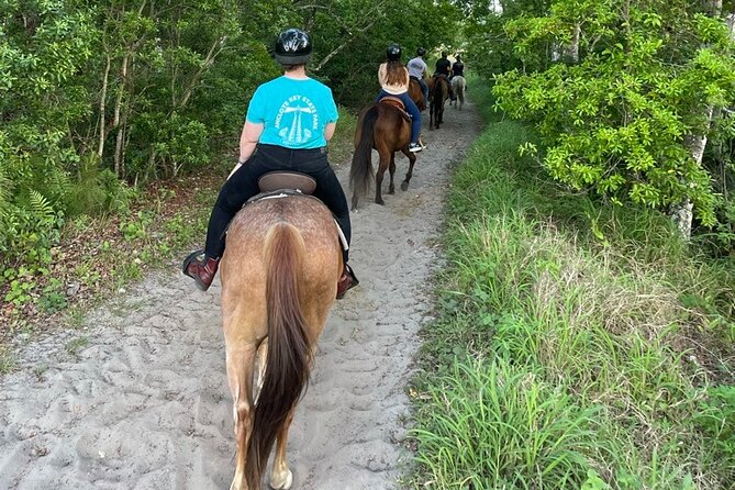 Horseback Ride on Scenic Lake Louisa Trails - A closer look at the route and trail time