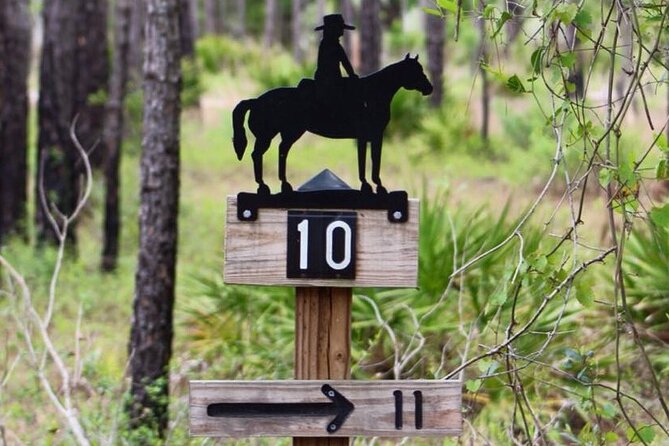 Horseback Ride on Scenic Lake Louisa Trails - What $79 buys you