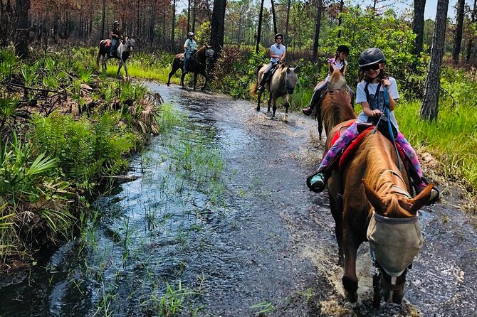 Horseback Ride on Scenic Lake Louisa Trails - Punctuality and cancellation can affect the value