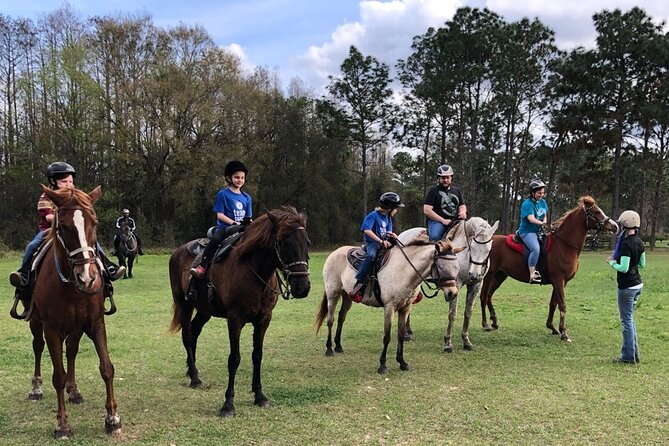 Horseback Ride on Scenic Lake Louisa Trails - Why beginners tend to feel at ease